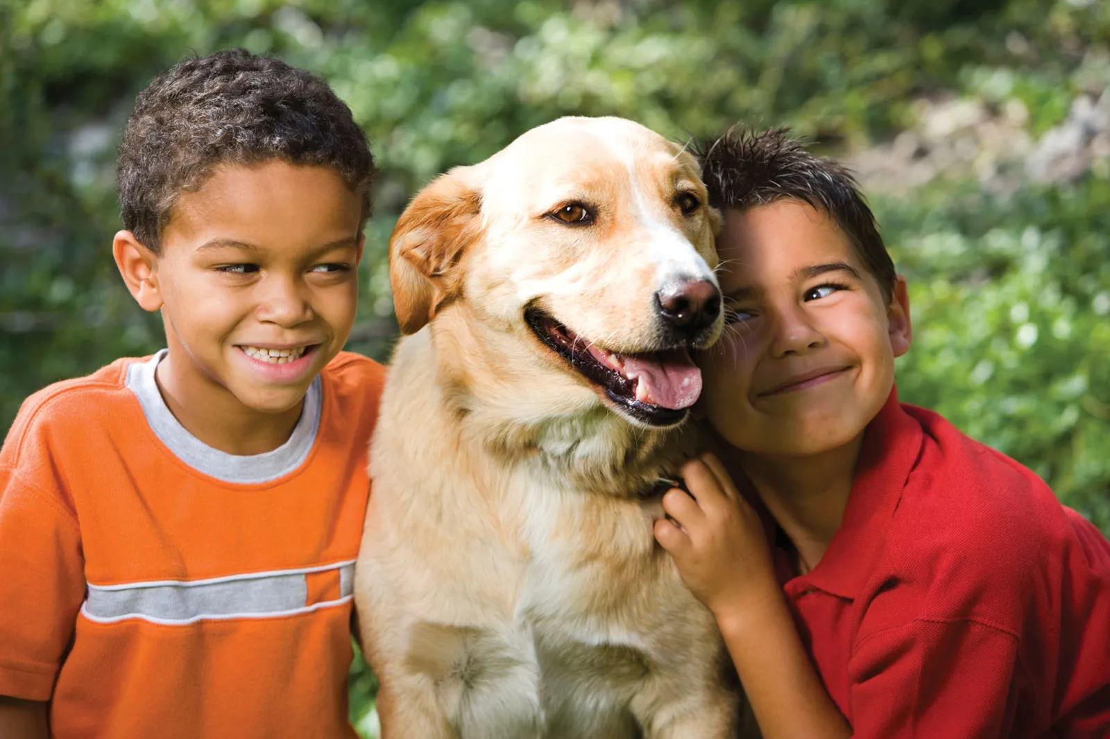 Children-pet-dog